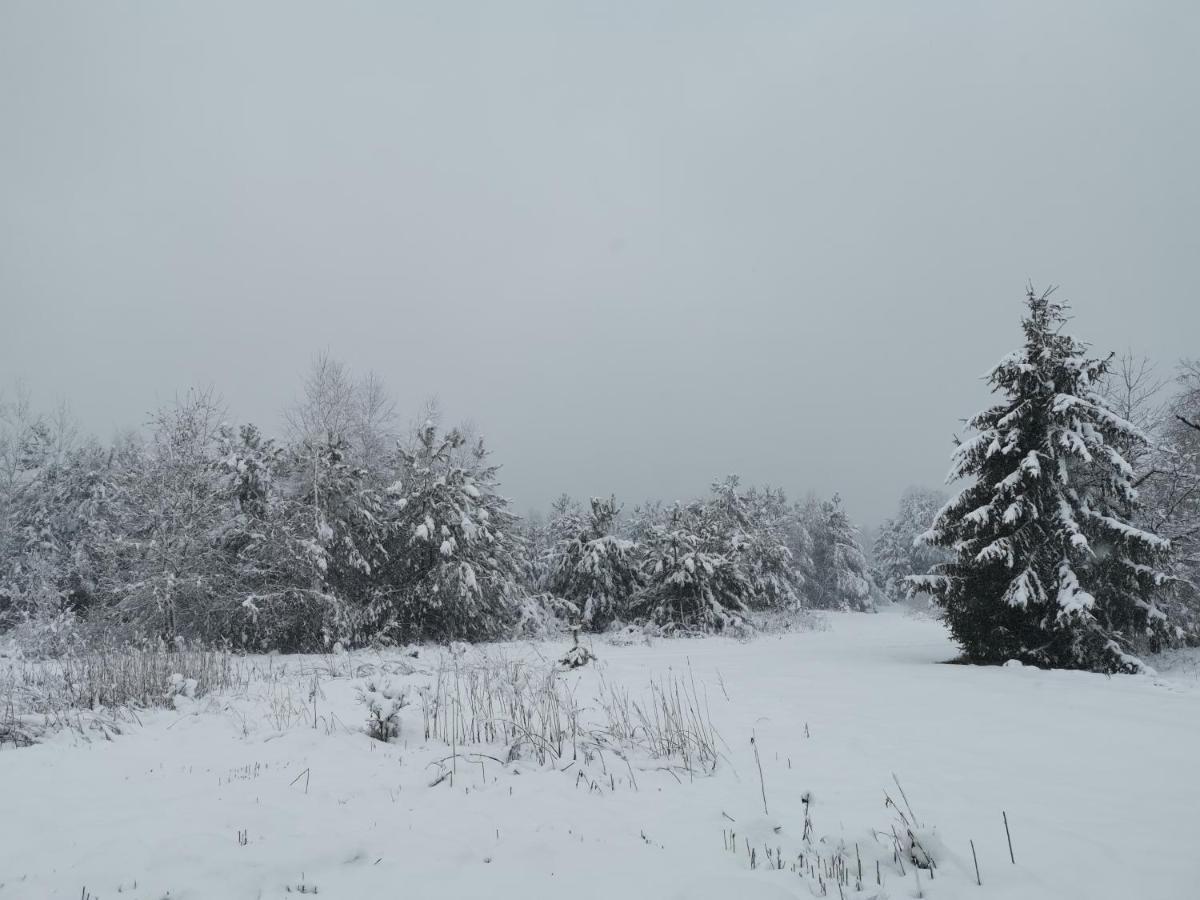Agrochalupki Daire Korczowa Dış mekan fotoğraf